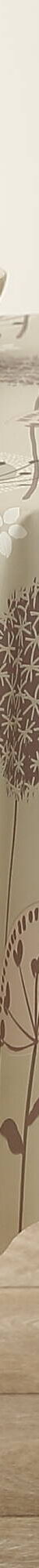 Tafellaken in toile cirée met paardenbloemmotief (taupe) Tafellaken in toile cirée met paardenbloemmotief (taupe)